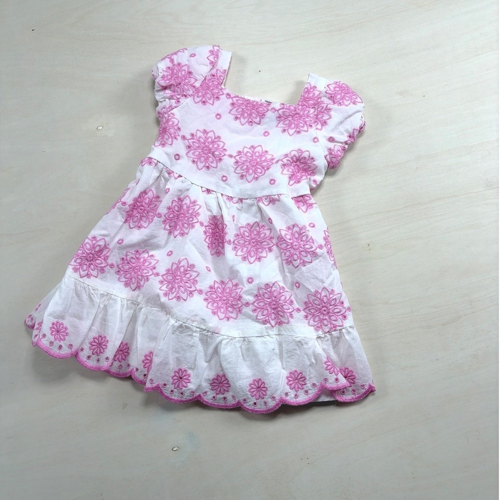 Little Lass Baby Girls Pink Floral Eyelet Embroidered Ruffle Dress White 18M
